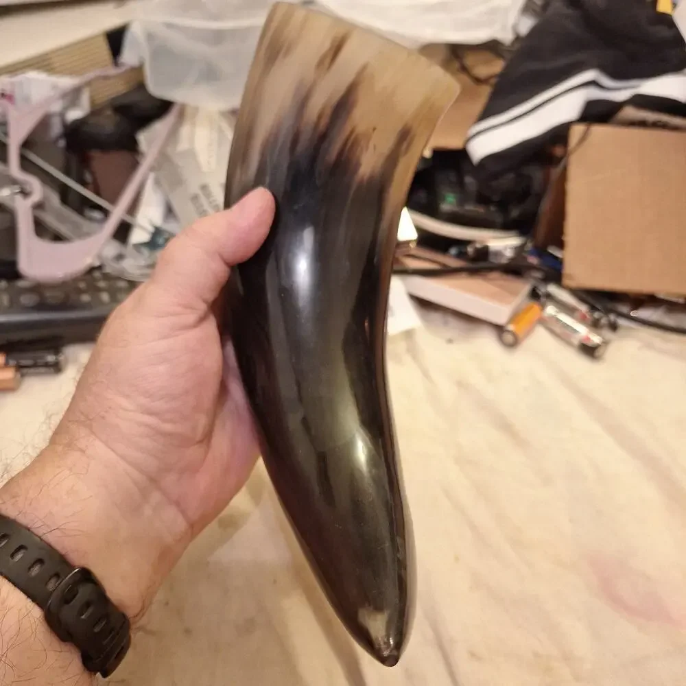 10” Viking Drinking Horn W Natural Curve & Blend Of Colors With Etched Design
